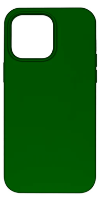 iPhone 12 Pro Max Protective Case Green Rixus