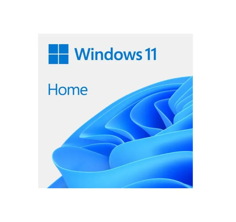 fdsdsaf.webp