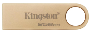 Kingston USB-Stick DataTraveler SE9 USB 3.2 256 GB