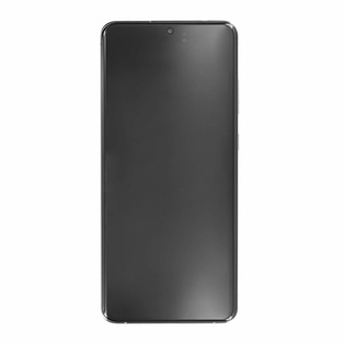 Samsung Display - Einheit + Frame G998B Galaxy S21 Ultra - 5G Phantom Silber