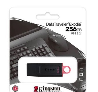 Kingston USB-Stick DataTraveler Exodia 256 GB