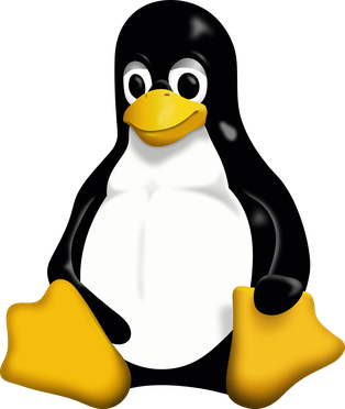 Linux Installation (Distro auf Wunsch)
